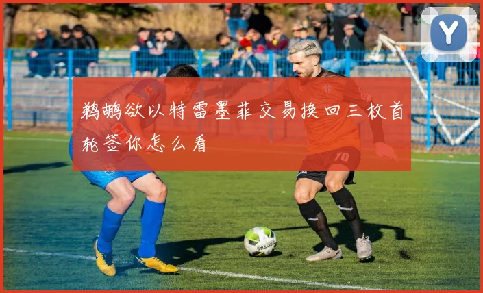 鹈鹕欲以特雷墨菲交易换回三枚首轮签你怎么看